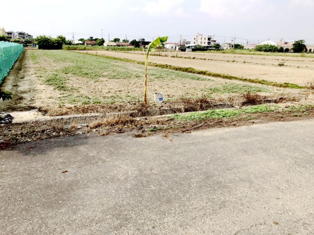 七股看坪段田地