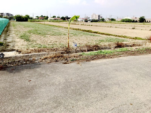 七股看坪段田地