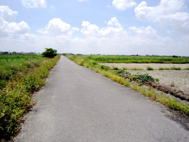 七股三合段田地
