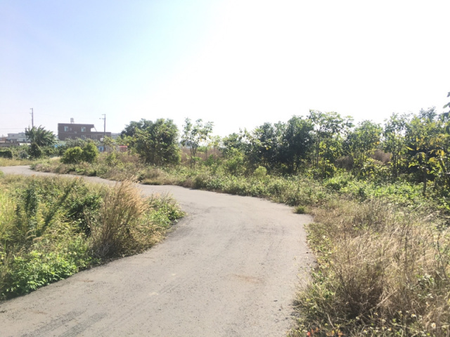 七股大文段田地