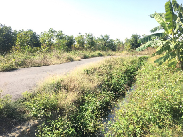 七股大文段田地