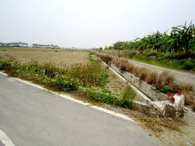 七股竹子港段田地