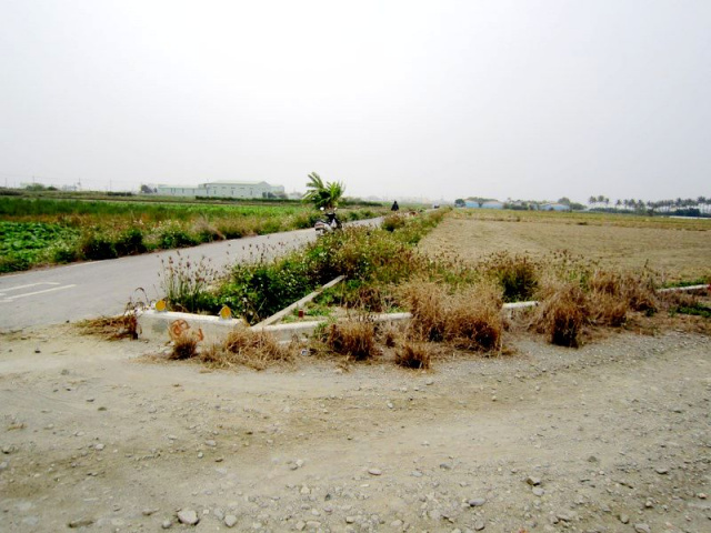 七股竹子港段田地