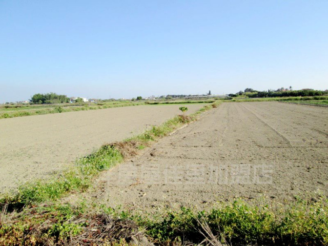 七股後港段田地