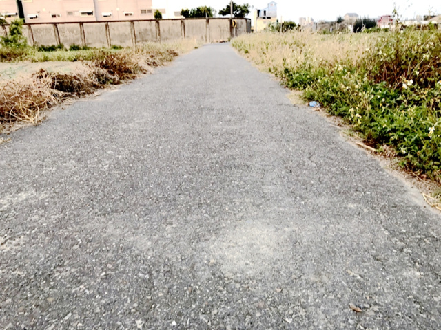 七股孔雀山莊旁農地