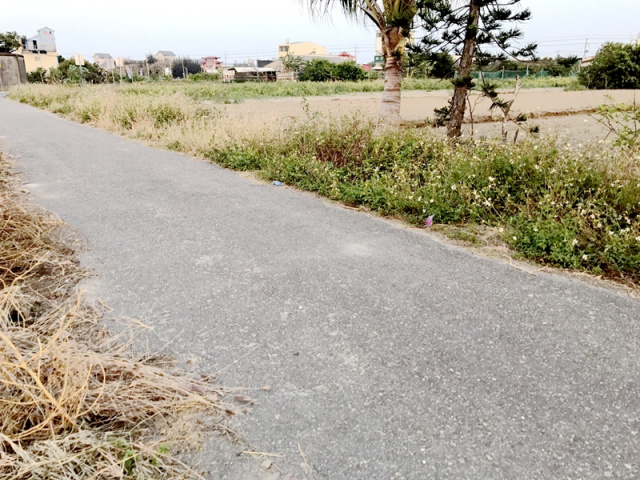 七股孔雀山莊旁農地