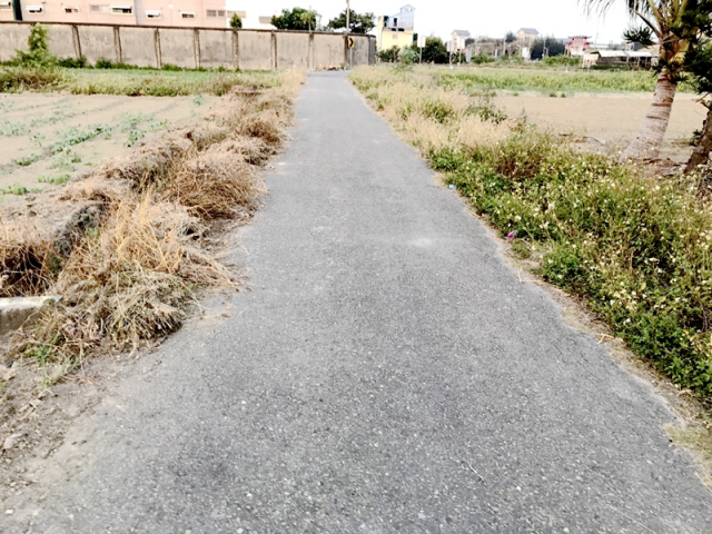 七股孔雀山莊旁農地