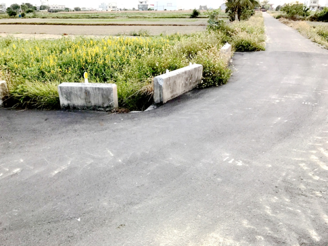 七股孔雀山莊旁農地