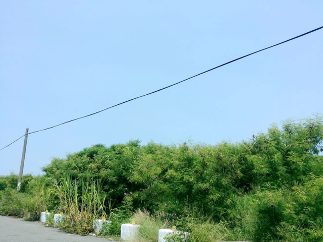 七股篤加國小漁塭