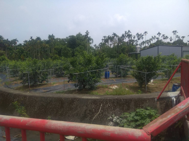 南投竹山紫南段三分半農地