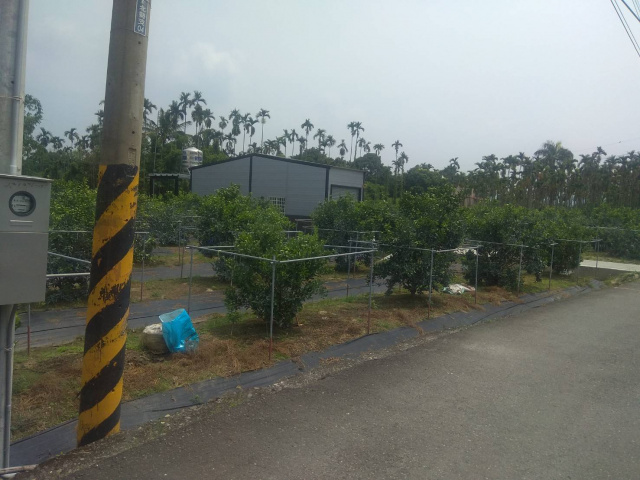 南投竹山紫南段三分半農地
