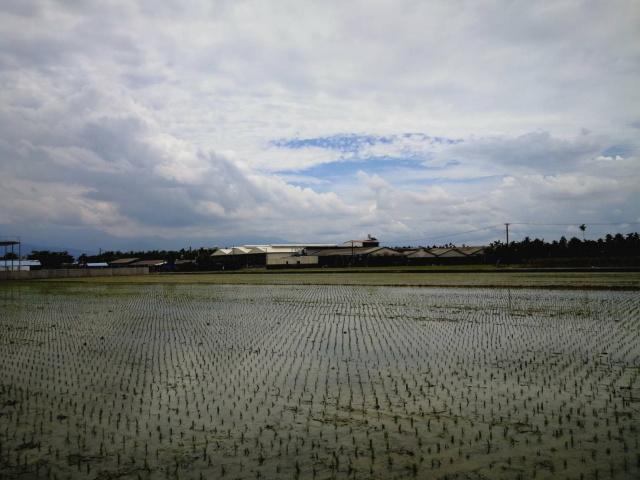 大湖優美農地