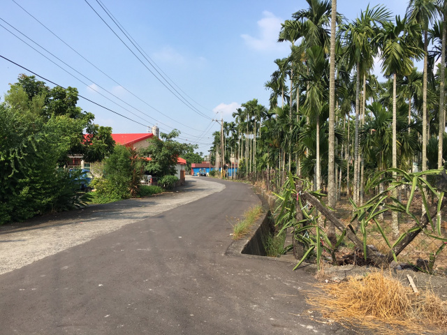 運動公園藏豐農地
