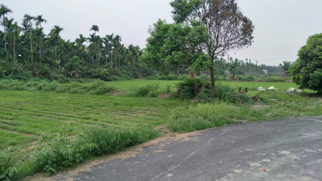 萬巒國中農地