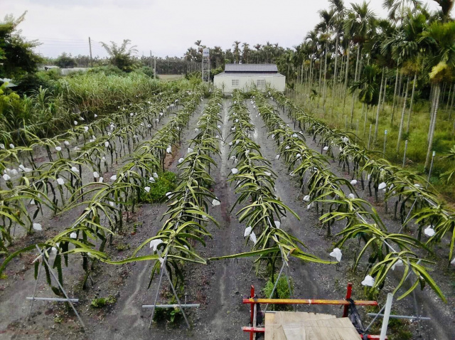 竹田三角窗農保農地