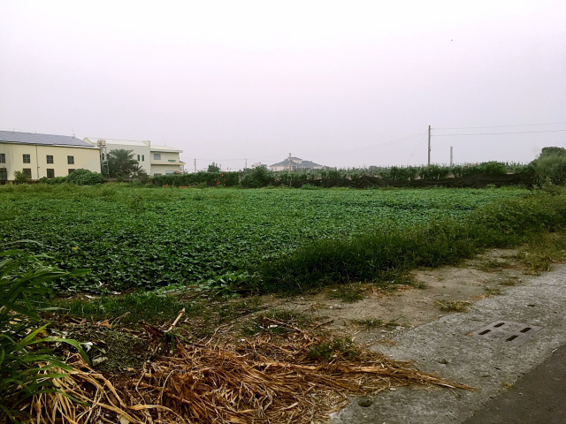 大洲路邊面寬方正美農地