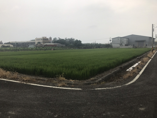 頭前溪小筆三面路農地