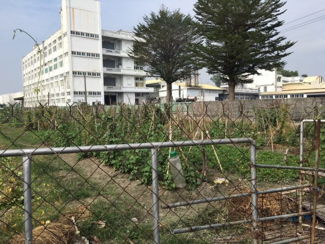 高屏大橋方正農地