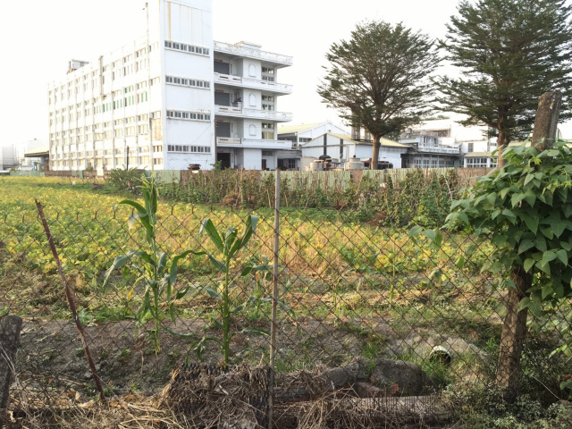 高屏大橋方正農地