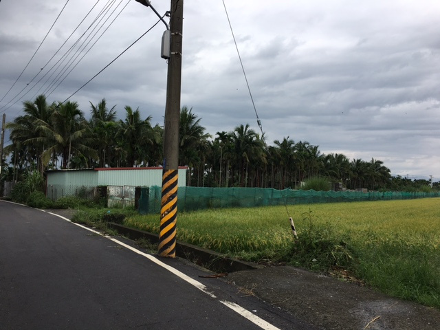 屏市海豐金城農地