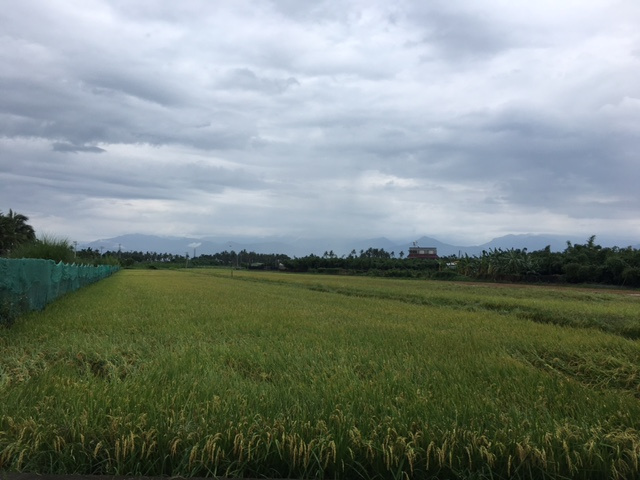 屏市海豐金城農地