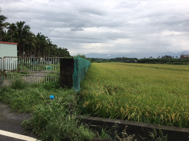 屏市海豐金城農地