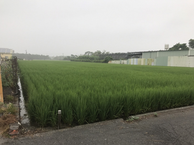竹田水稻田方正農地