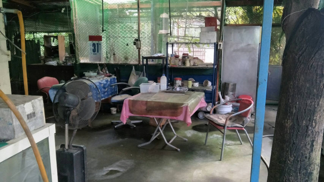 麟洛綠廕合法農舍