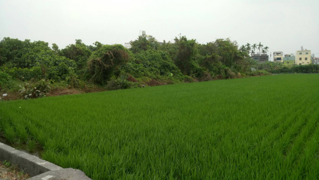 萬丹南北路農地