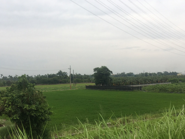 屏東市加工出口區農地