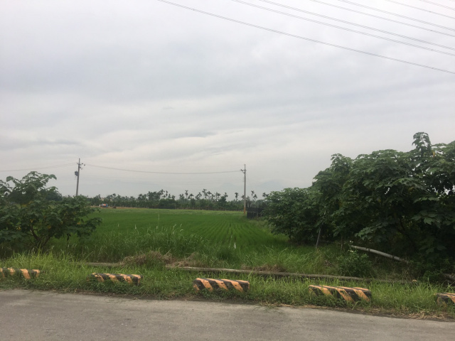 屏東市加工出口區農地