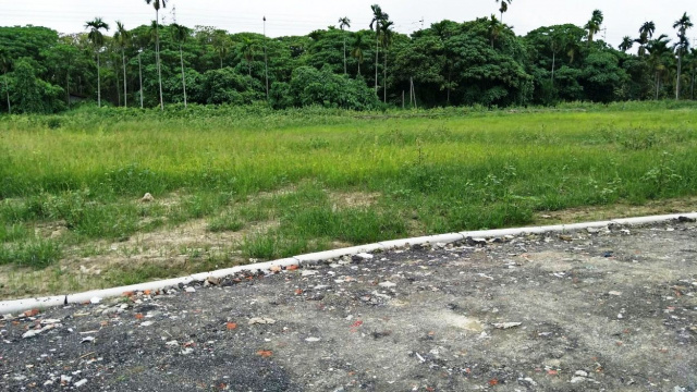竹田國小都計小農地