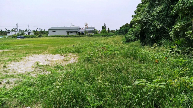 竹田國小都計小農地