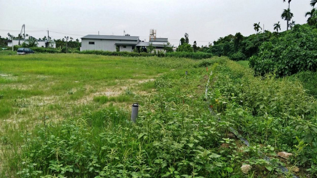 竹田國小都計小農地