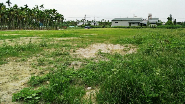 竹田國小都計小農地