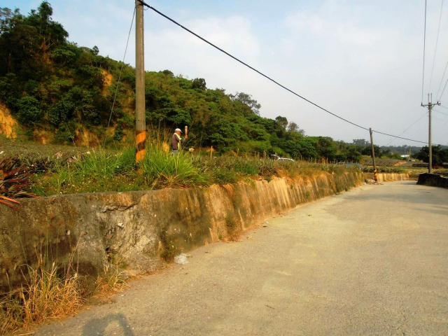 大樹和山社區農地