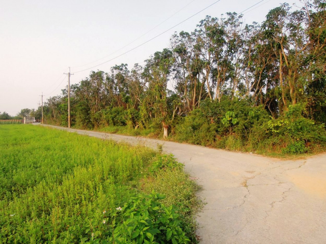 燕巢安西近交流道農地