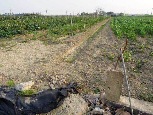 燕巢安西近交流道農地