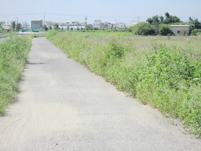 七股竹子港段田地