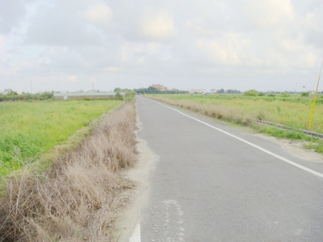 七股樹林段田地