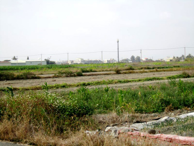 七股十一份段田地