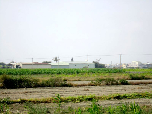 七股十一份段田地