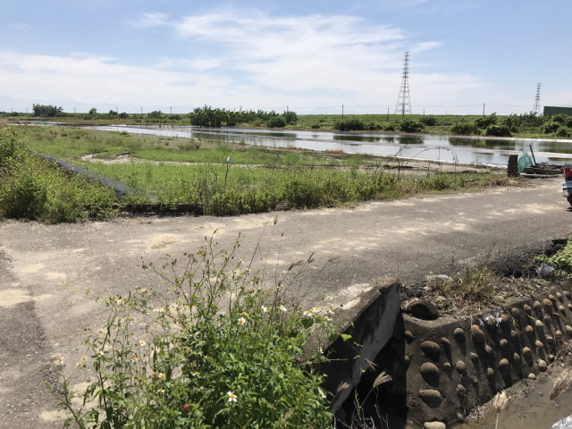 七股槺榔段田地