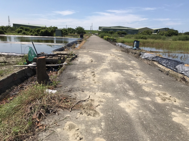 七股槺榔段田地