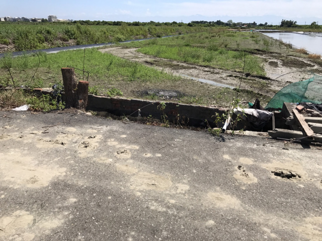七股槺榔段田地