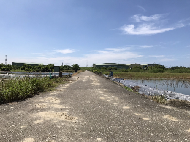 七股槺榔段田地