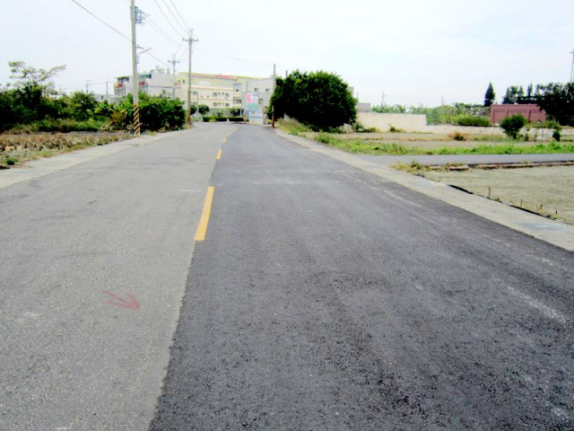 七股槺榔段田地