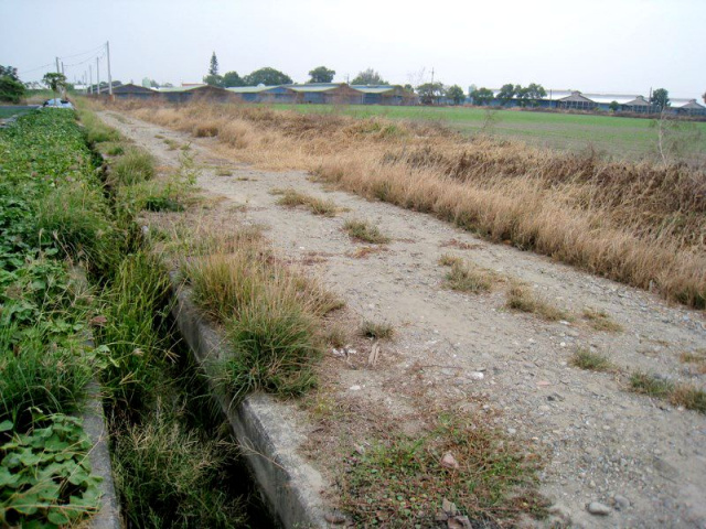 七股竹子港段田地
