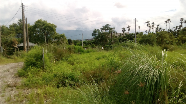 桃花休閒美樂地