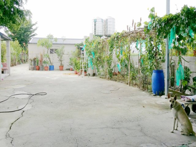 七股竹子港美廠住